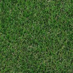 stadium-turf-150x150